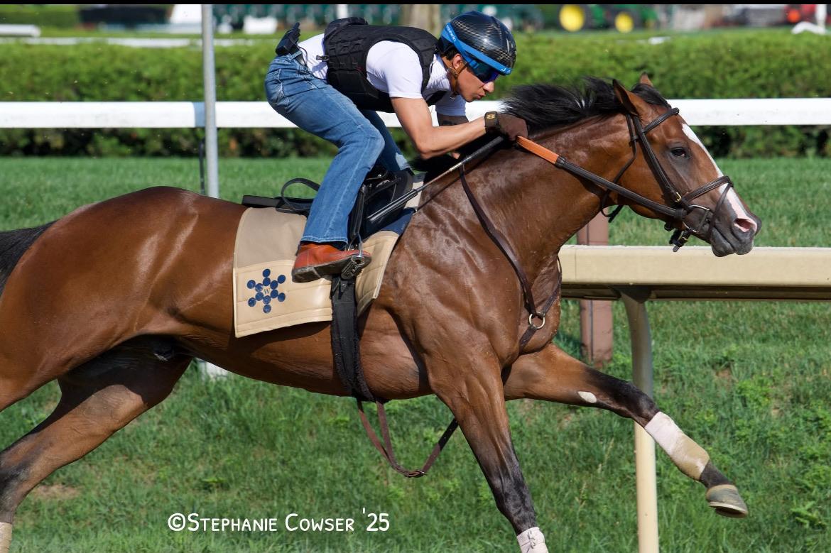 New Training Facilities Unveiled at Beckman Racing Stables