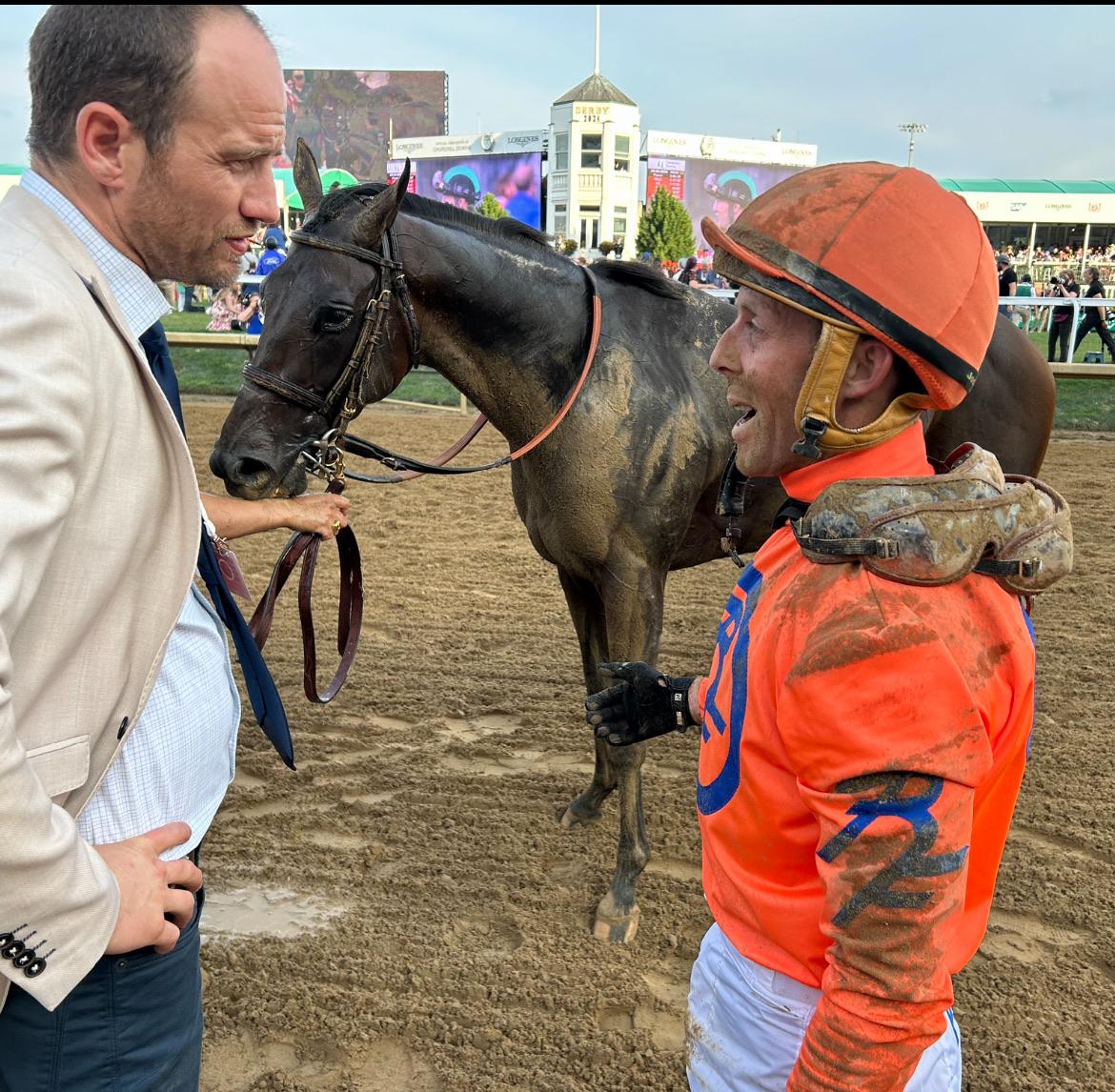 Professional horse training