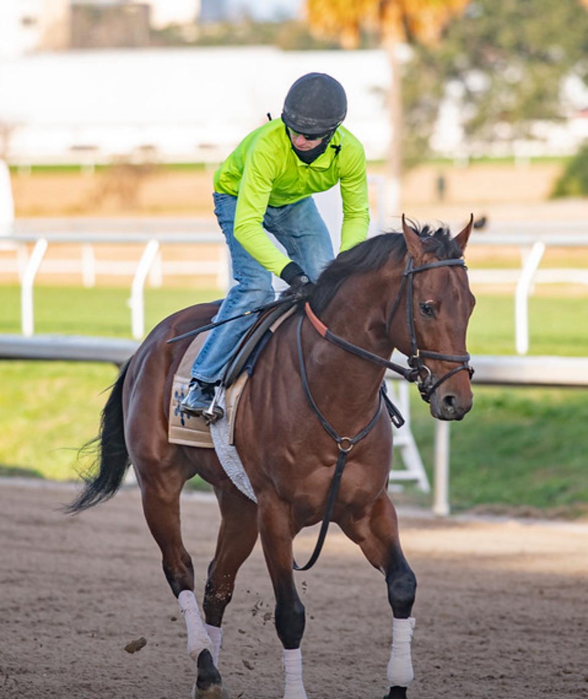 Thoroughbred heritage at Beckman Racing Stables