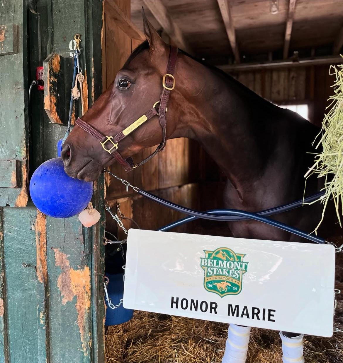 Morning training session